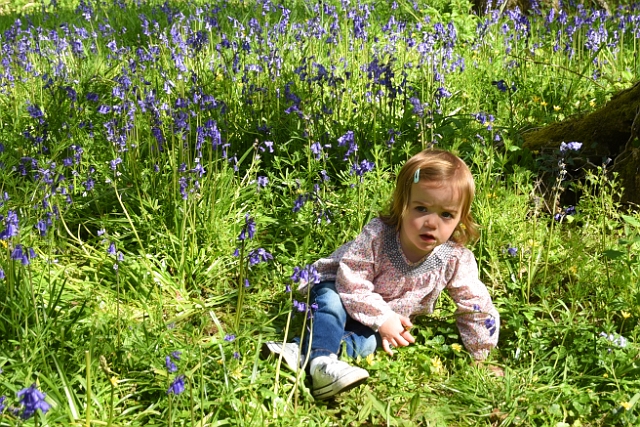 k-006.jpg - PAMPHILL - BOTANY WALK, DORSET - 5.5.16  (A WALKER GIVING PERMISSION FOR THIS EVOCATIVE PIC)