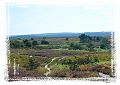 BORDER_25-copy-copy-1-copy_edited-1