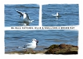 TRIPTYCH_19_edited-1