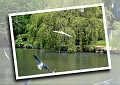 PHOTO_EFFECTS-copy-1-copy-1-copy-3-copy-3-copy-3-copy-1-copy-3-copy-3-copy-copy-copy-copy-copy-copy-copy-copy-copy-1_edited-