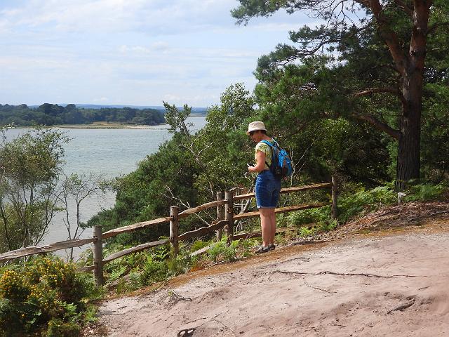 DSCN0908_edited-1.jpg - BROWNSEA ISLAND - 29.7.19