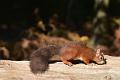 DSC_1766_edited-1