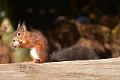 DSC_1789_edited-1