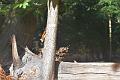 DSC_1867_edited-1