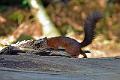 DSC_1927_edited-1
