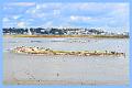 DSC_2048_edited-1