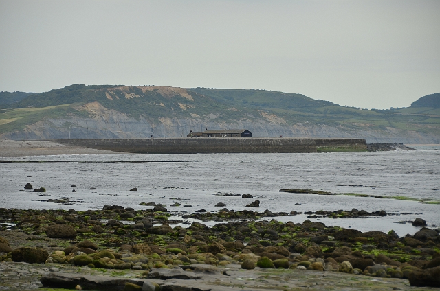 Kath-549.JPG - LYME REGIS WEST, DORSET - SUMMER 2014 - THE COBB