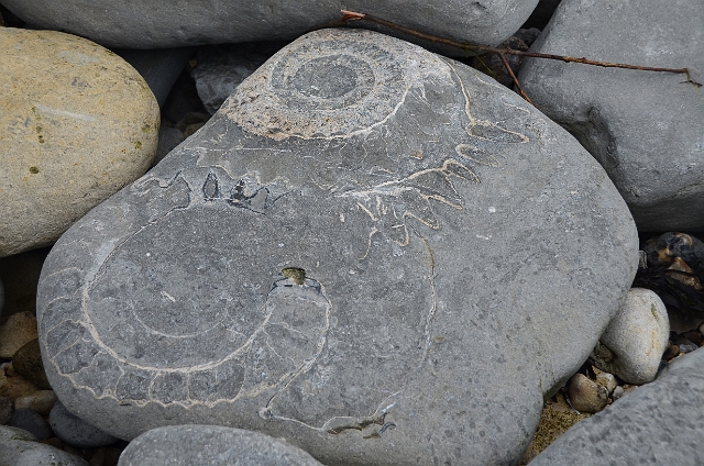 Kath-552.JPG - LYME REGIS WEST, DORSET - SUMMER 2014