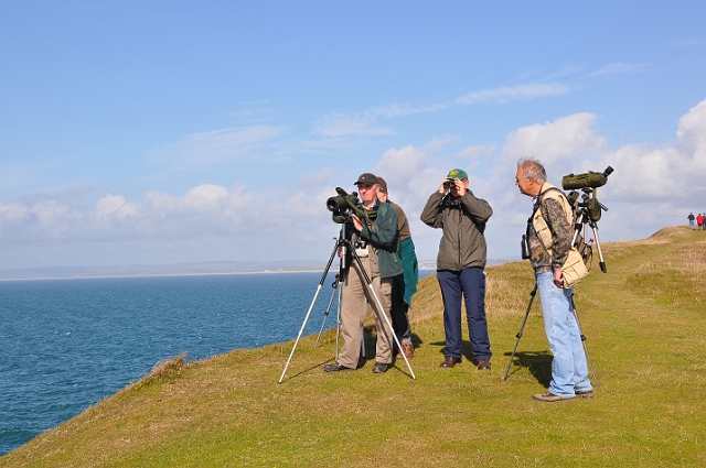 Sandpiper_8659.JPG - PORTLAND BILL  - 2009
