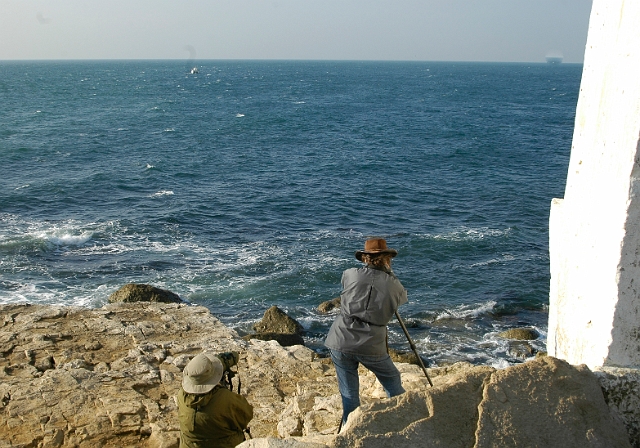a-1636.jpg - PORTLAND BILL - PERHAPS THE NUMBER ONE BIRDWATCHING MIGRATION SPOT