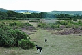 Heather-57