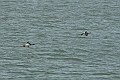 _DSC0190_edited-1