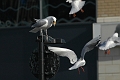_DSC0274_edited-1