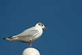 _DSC0288_edited-1