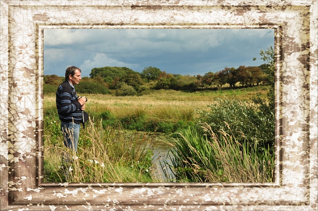 10W-095.jpg - STEWART - BRADING MARSHES, RSPB RESERVE, ISLE OF WIGHT - 20.8.14