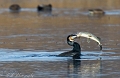 IMG_2486_edited-1