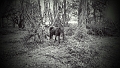 20161014_101947