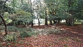 20161014_114919