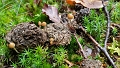 20161014_115937