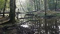 20161015_101426
