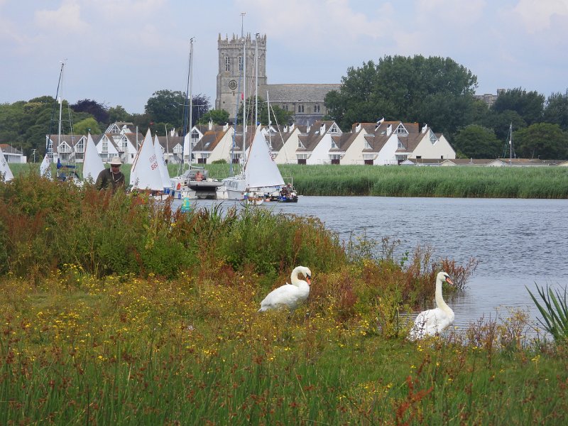 LP-28.jpg - STANPIT MARSH - 17.7.19 - SAILS AND SAILS