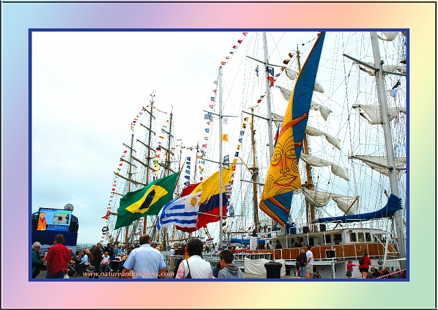 fosweb-57.jpg - INTERNATIONAL FESTIVAL OF THE SEA - 2005