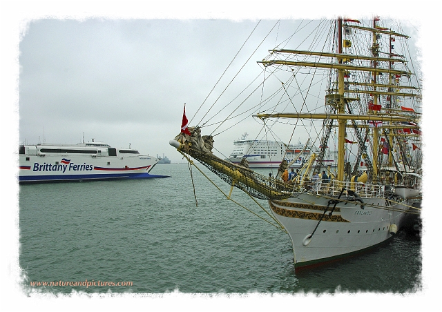 fosweb-79.jpg - INTERNATIONAL FESTIVAL OF THE SEA - 2005