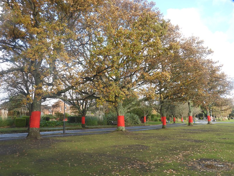 s-582.JPG - REMEMBRANCE DAY - POOLE PARK - 11.11.18