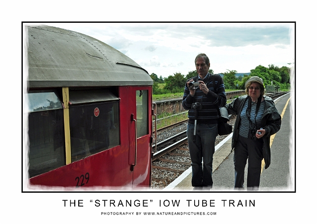 10W-060.jpg - BRADING STATION - STEPHEN & TRICIA - ISLE OF WIGHT - SUMMER 2014