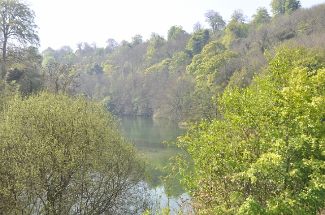 views-124.JPG - SWANBOURNE LAKE - ARUNDEL