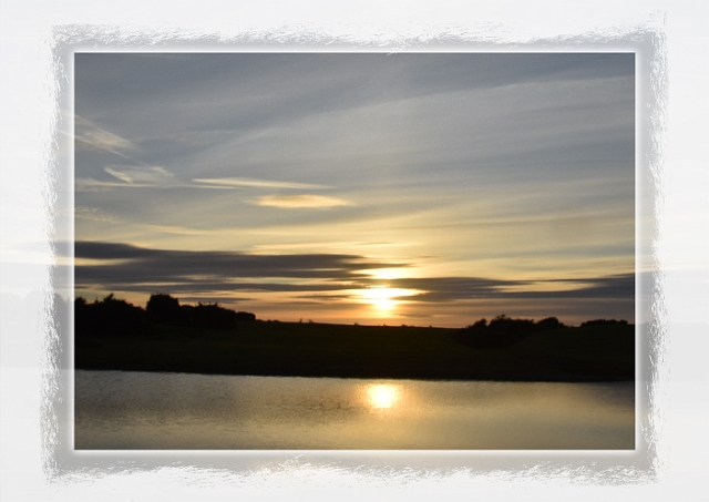 xx-copy-3-copy-1-copy_edited-1.jpg - NEW FOREST - 13.11.16 - WITH FREINDS AWAITING THE SUPERMOON - SUNSET