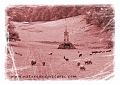 DP-Border-21-copy-1_edited-1